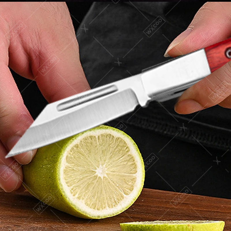 Roestvrijstalen zakmes Palissa - Kitchen Gadgets And Equipment recensie en prijs